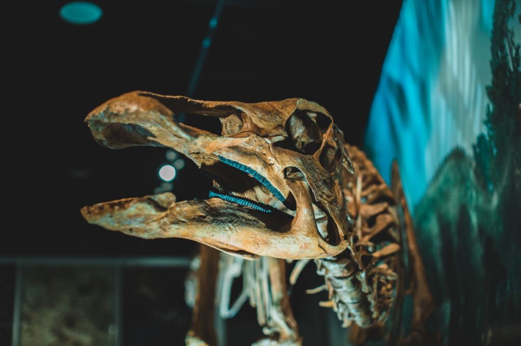 165-million-year-old fossil